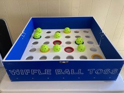 Wiffle Ball Toss Carnival Game