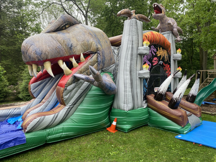 T-Rex Double Lane Combo Wet/Dry-Slide
